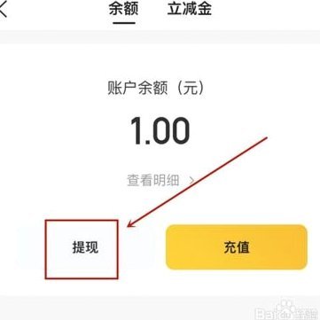 美团月付钱包可以提现