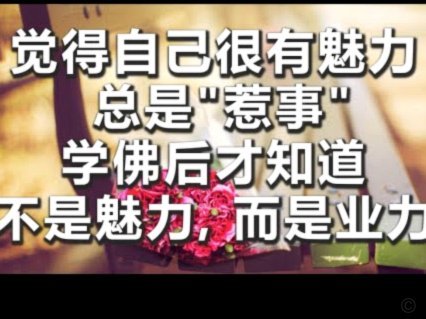 分期乐是怎么回事?