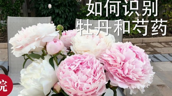 花呗分期套现平台还能用吗？