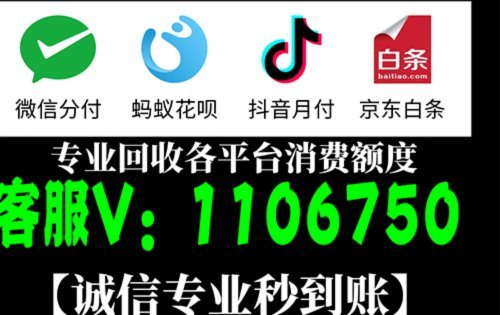 美团月付可以套出来吗图片