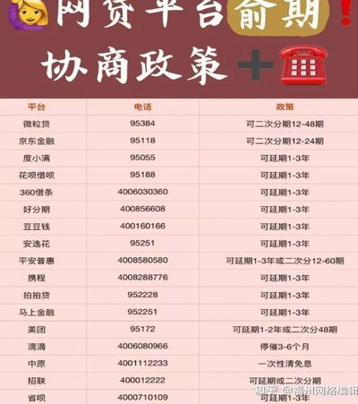 借了分期乐的钱怎么办？