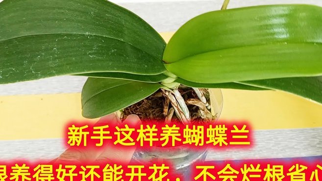 花呗现状：还能正常使用吗？