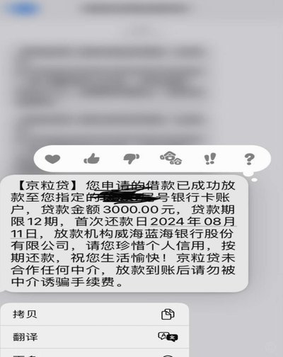 羊小咩现在没有临时额度了吗
