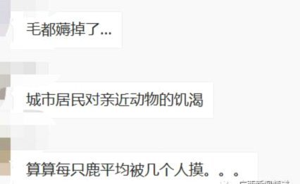 鹿优选怎么取消小鹿尊享