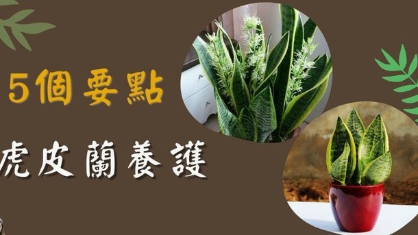 花呗里面怎么提现到银行卡