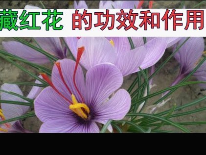 花呗现象的解决之道