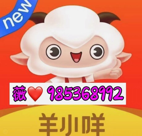 羊小咩平台的官方联系方式解析