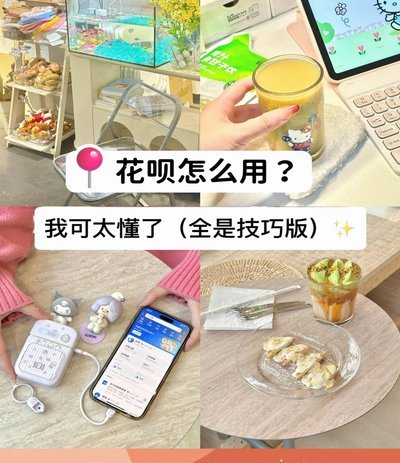 花呗安全防范指南：个人和商家的多维保护策略
