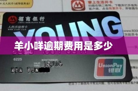 羊小咩借款额度在哪