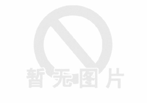 羊小咩怎么充值话费