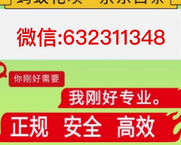 羊小咩：告别套路，回归真诚