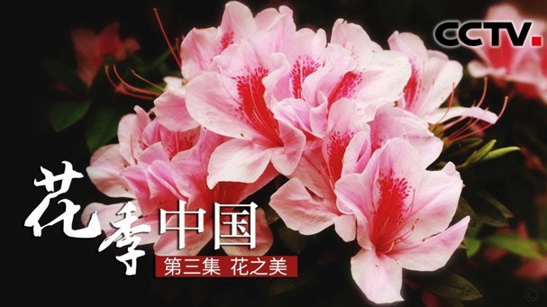携程的拿去花怎么关闭