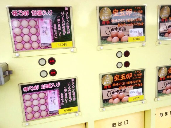 白条付费额度怎么套 现到微信