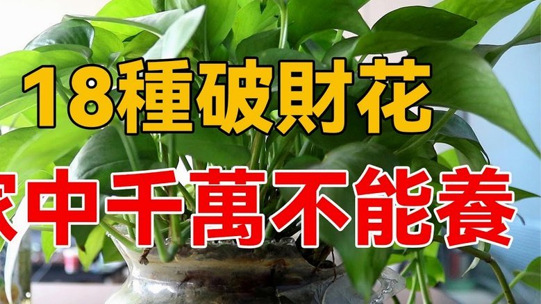 拿去花如何找商家套现