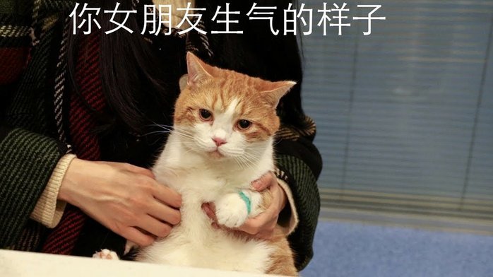 花呗天猫“秒套”：风险与真相