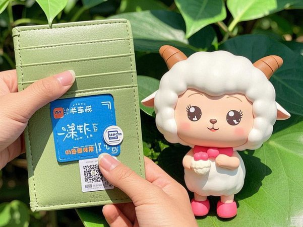 便荔卡包怎么购物套现