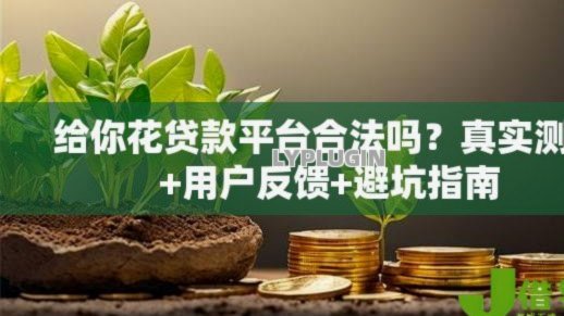 秒花花平台贷款合规性探究
