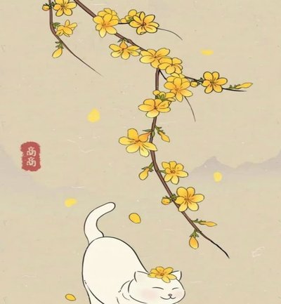 天猫花呗扣点手续费比例