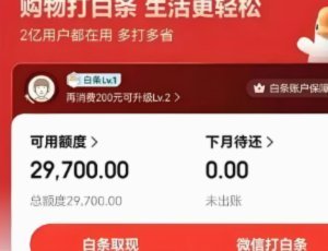 白条取出额度商家 平台能看见吗
