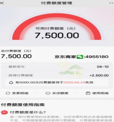 白条的加油额度怎么套不出来