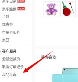 支持白条的第三方平台是哪个