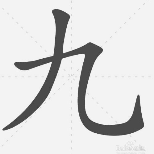 怎么看哪些商家支持白条