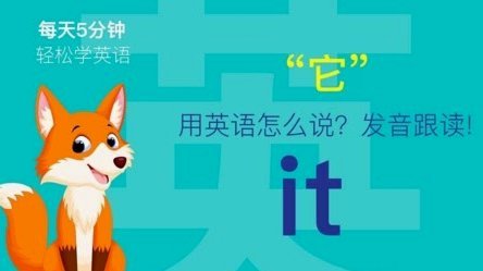 怎么看哪些商家支持白条