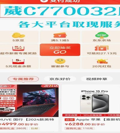 羊小咩贷款：真假难辨？