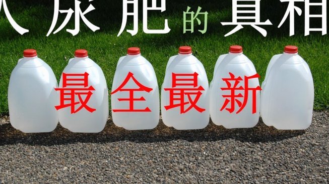 白条怎么能套出来