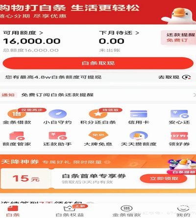 白条额度怎么用