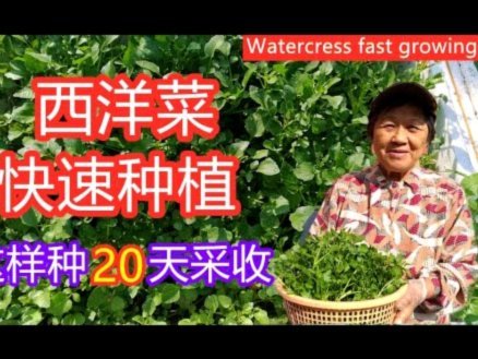 快速变现，这三样千万别碰！