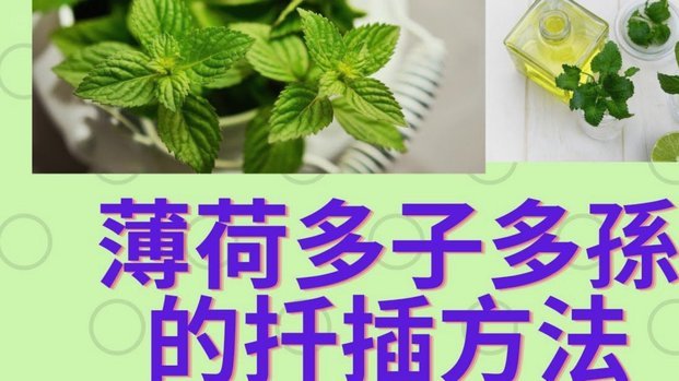 拿去花取现最忌三种东西是什么?