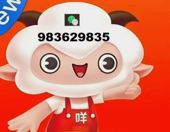 羊小咩回收商家秒到可靠吗