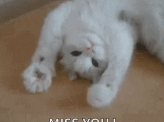 得物月卡怎么买