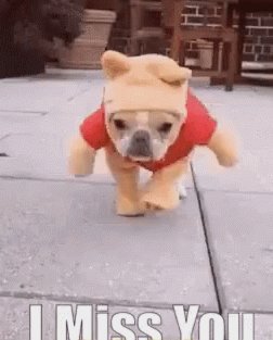 得物月卡怎么买