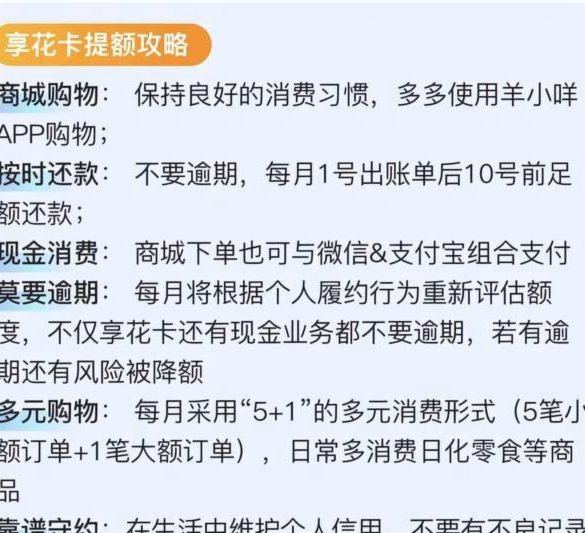影响羊小咩贷款放款成功率的关键因素