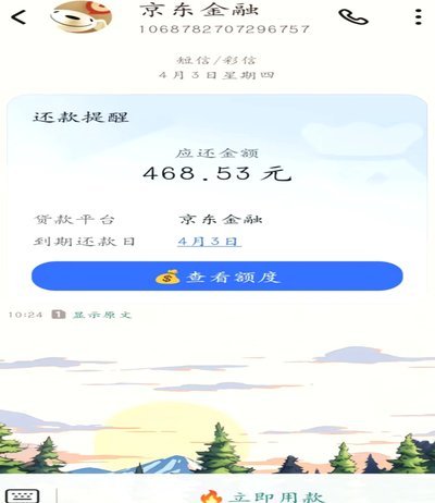 白条提前还款：全攻略与避坑指南