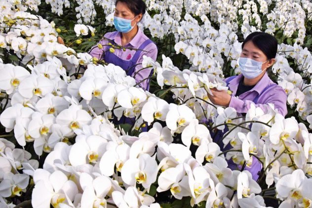 花呗额度为零的背后原因解析