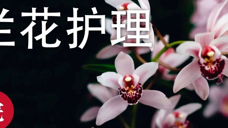 花呗使用平台 出来额度为0
