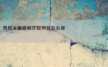 携程分期付款手续费怎么算