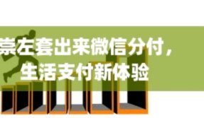 微信的分付坑一次性套出来吗